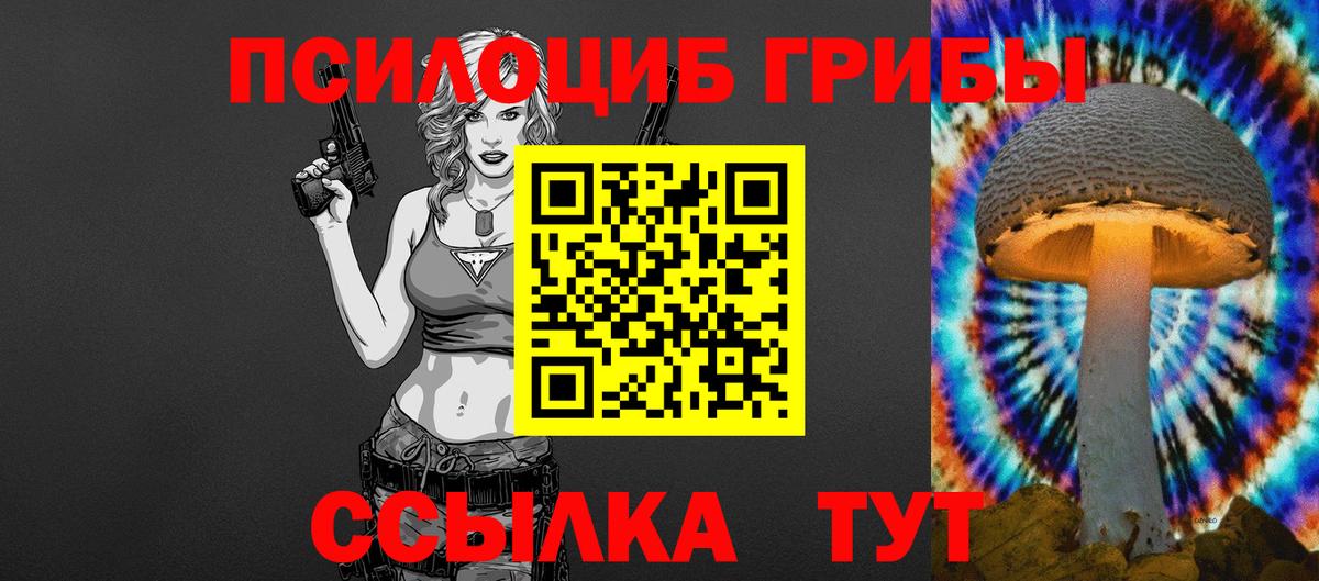 Псилоцибиновые грибы Psilocybe  где купить наркоту  Галлюциногенные грибы ЛСД  Городец  Вход с VPN 
