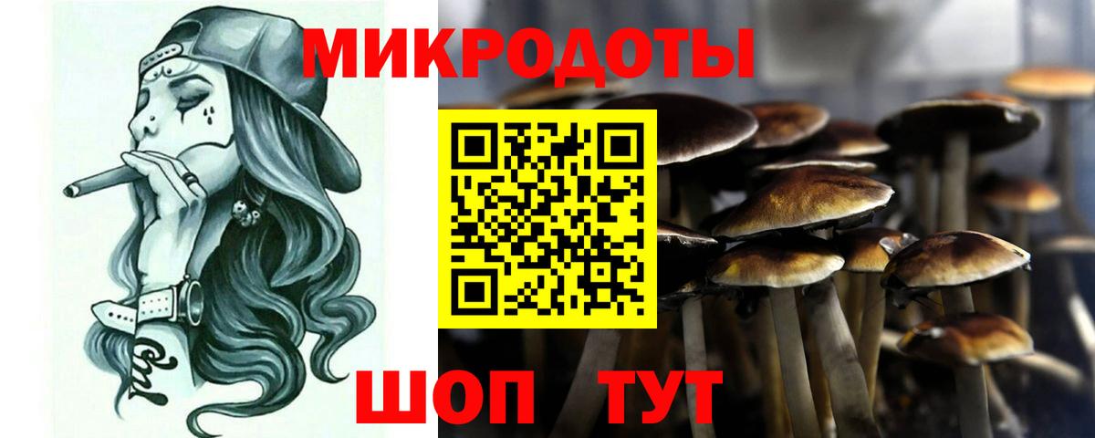 Галлюциногенные грибы MAGIC MUSHROOMS Городец